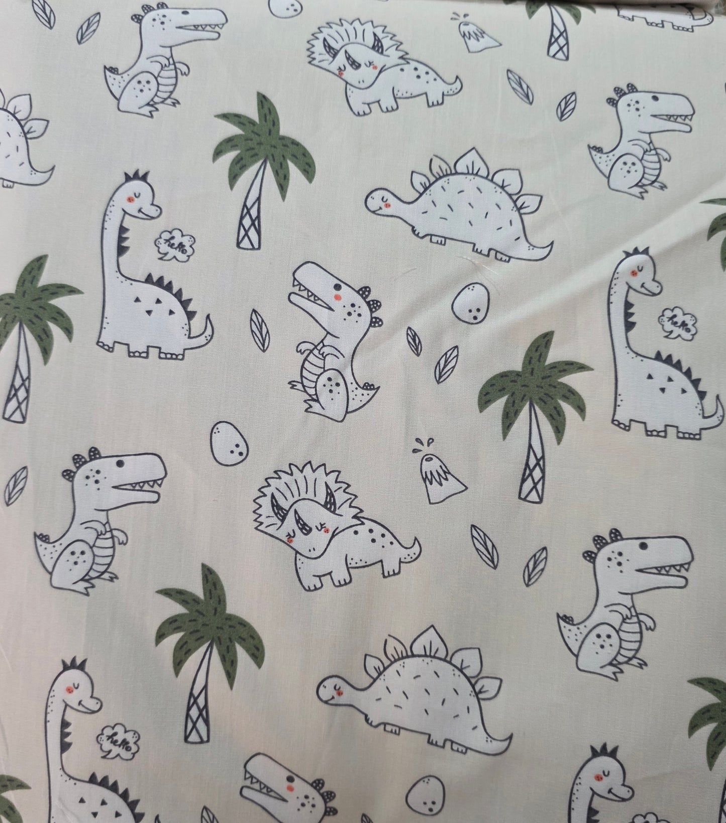 Dino Dreams Nightsuit Set