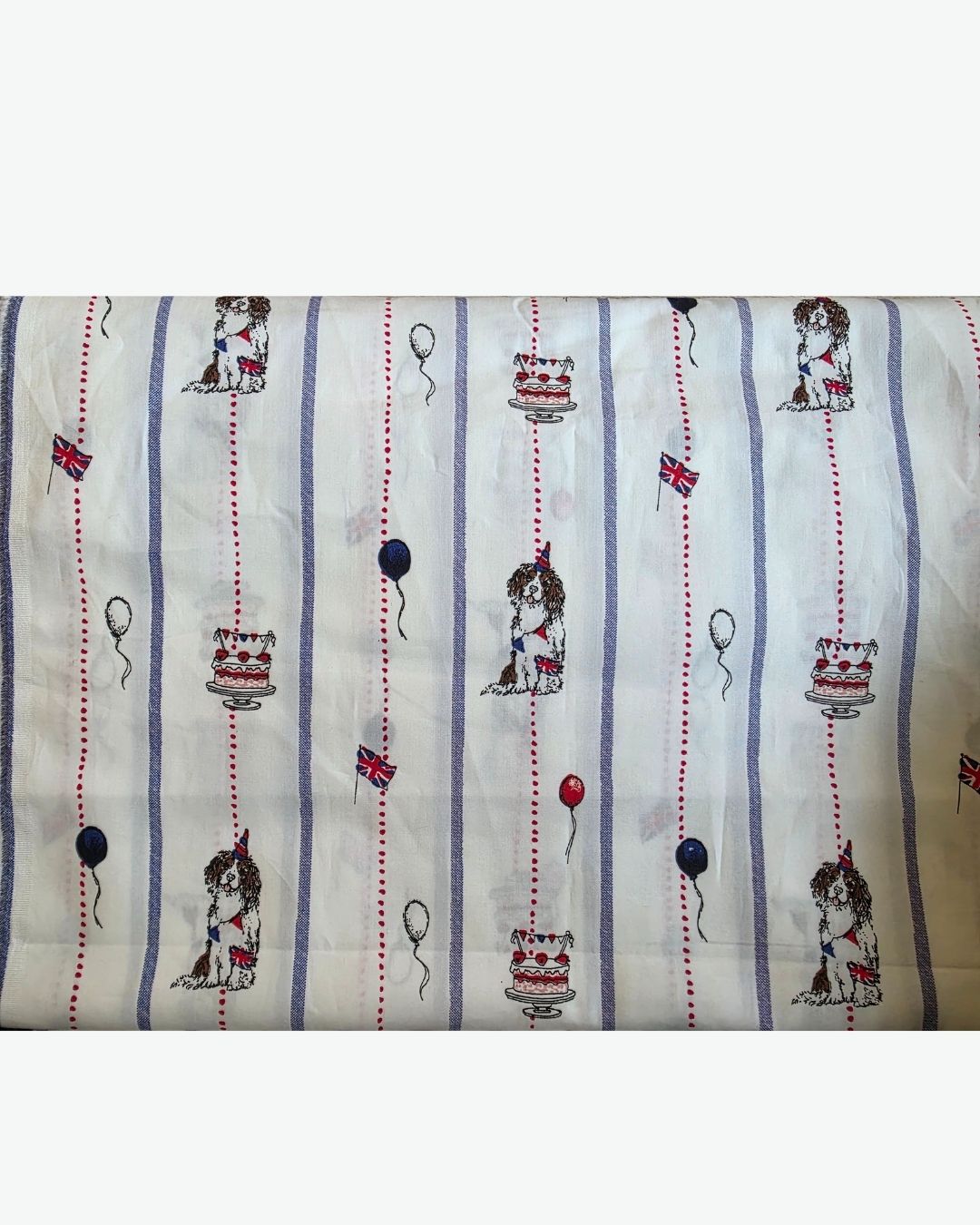 Cute Party Print Kids Nightsuit (White)